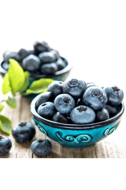 Голубика Darrow